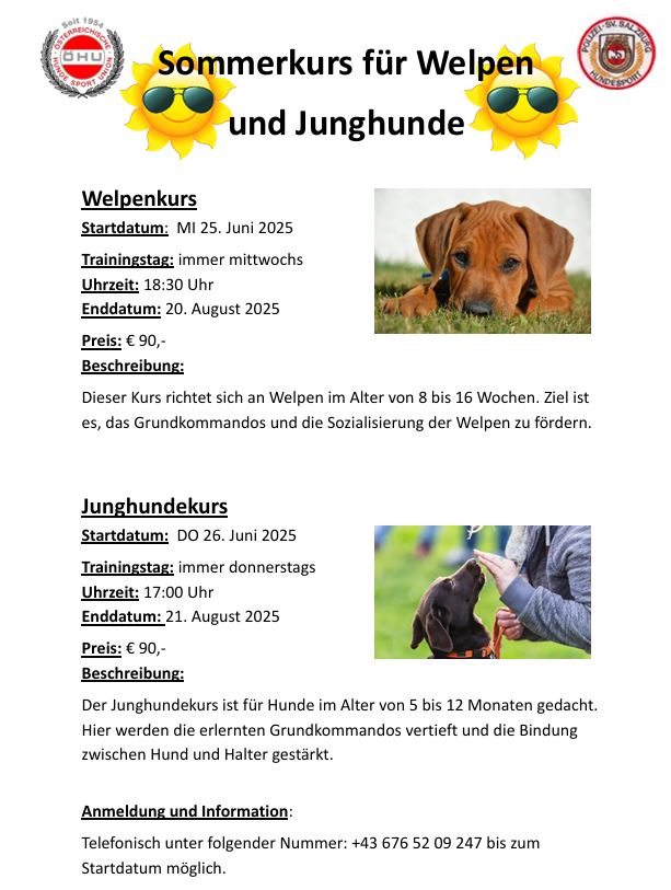 Sommerkurs 2025